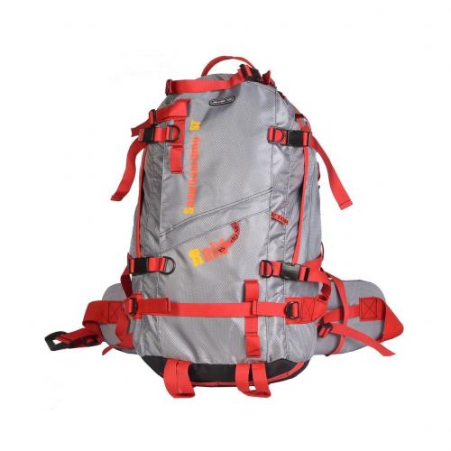 Спортивный рюкзак для горнолыжников Рэйд Silver Top, фото 1