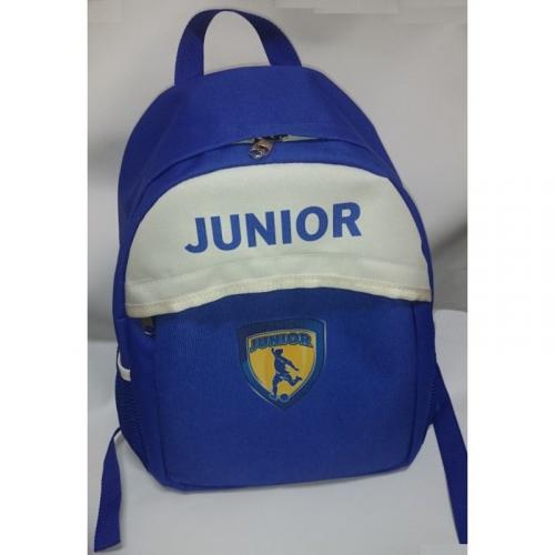 Рюкзак молодежный Junior ФТЛ, фото 1